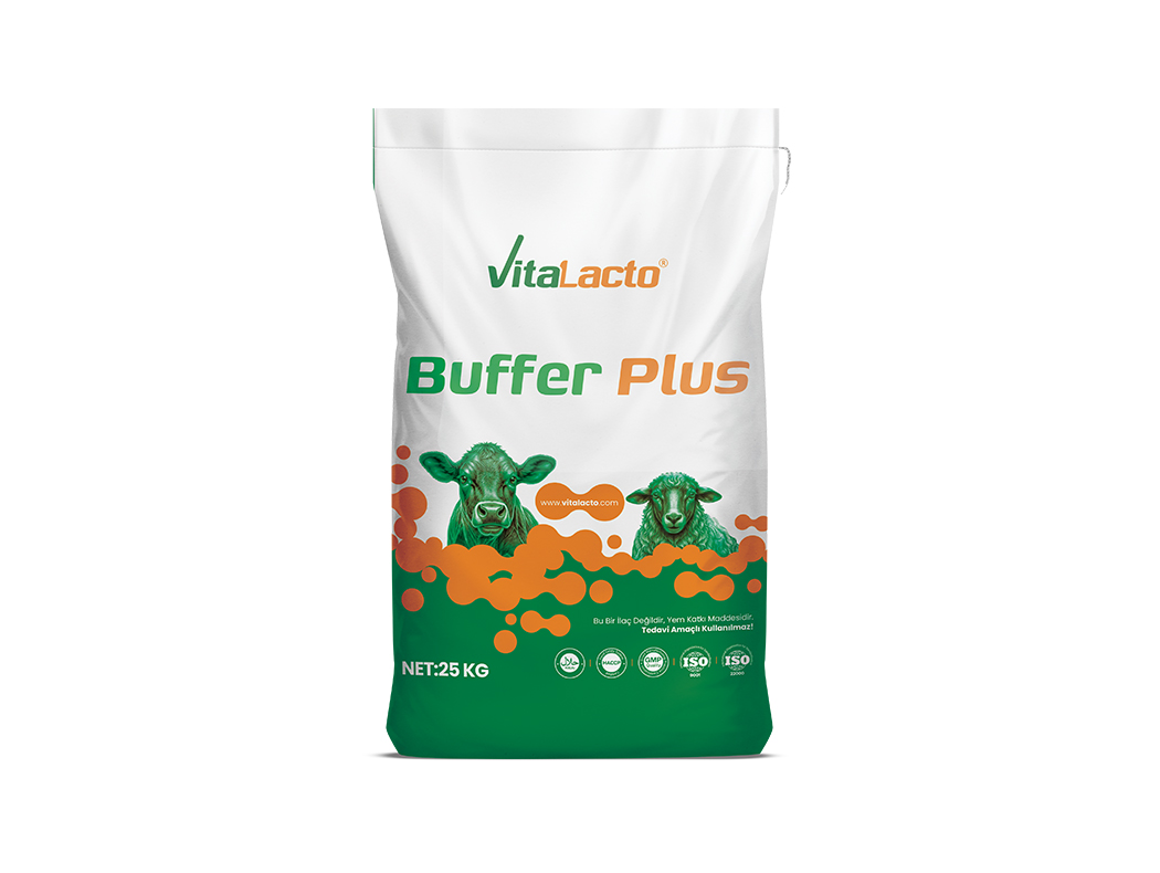 Vitalacto Buffer Plus