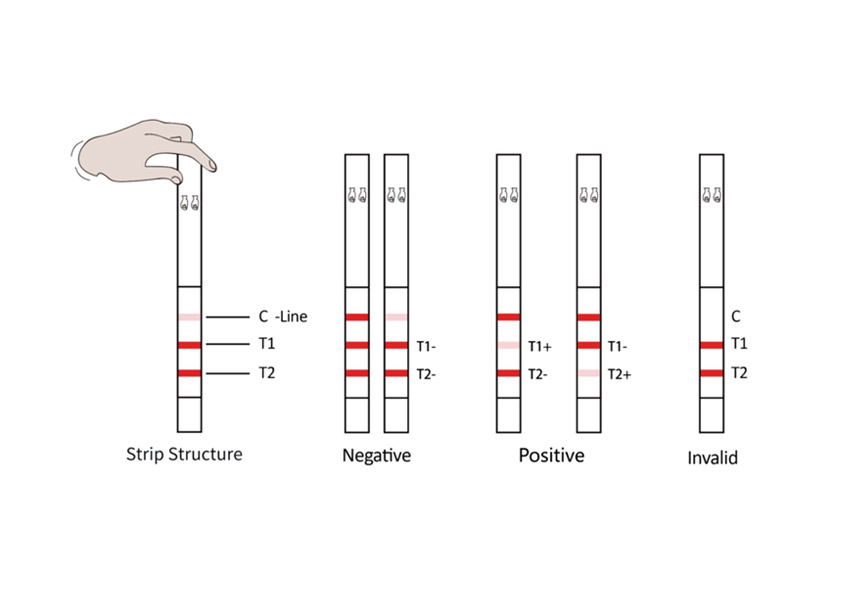 Antibiotic Test Kit BT-Combo