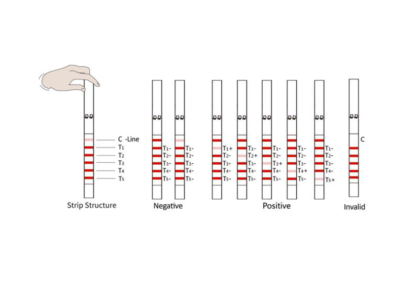 Antibiyotik Test Kiti BTCC & FF