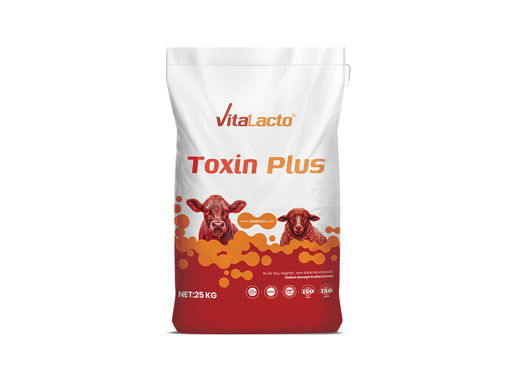 Vitalacto Toxin Plus